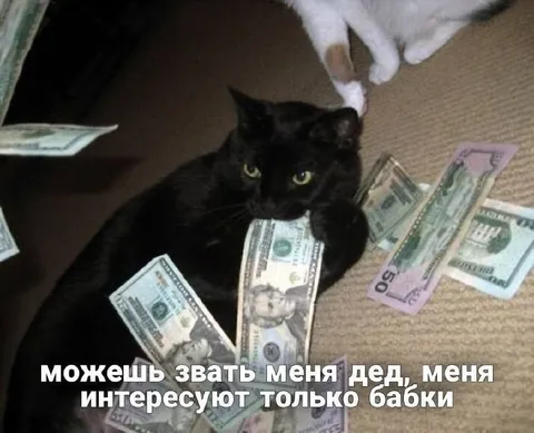 Кот интересуется только бабками