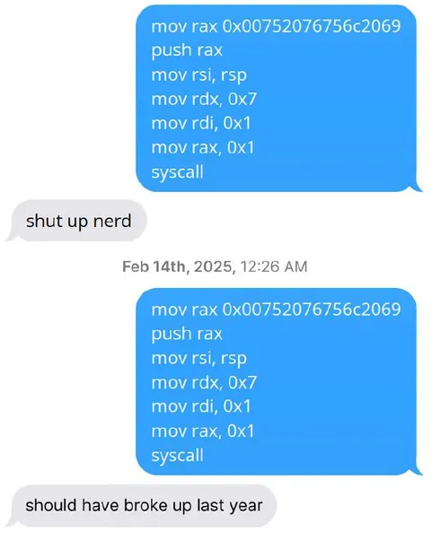 Assembly Code Breakup Texts