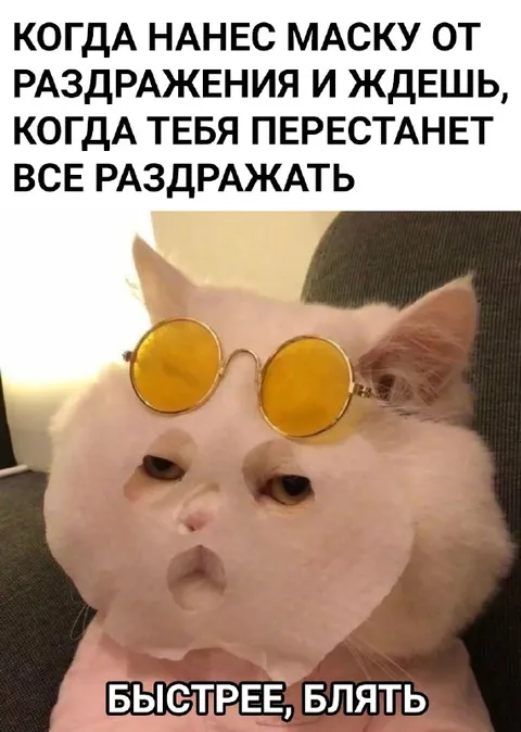 Кот ждёт, когда перестанет раздражать