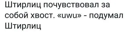 Штирлиц почувствовал хвост
