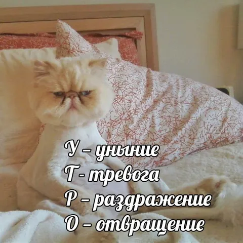 Унылый тревожный кот