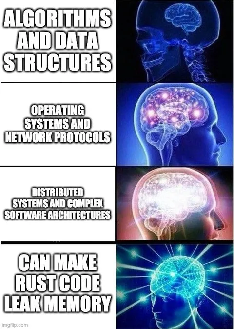 Rust Code Leaks Memory Galaxy Brain
