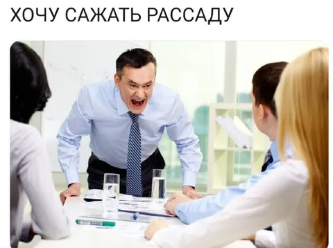 Хочу сажать рассаду