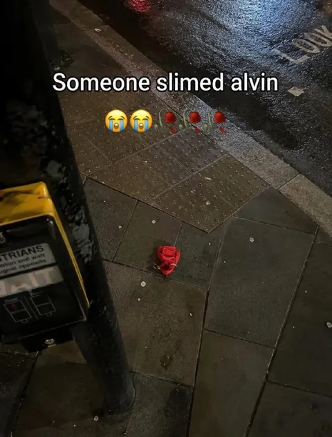 Someone Slimed Alvin