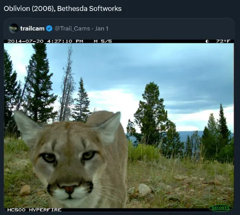Oblivion Lynx Trail Camera