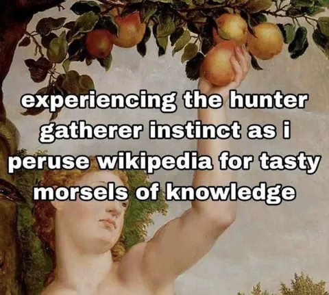 Hunter Gatherer Wikipedia Knowledge