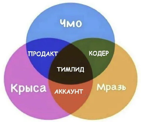 Венна диаграмма офисных ролей