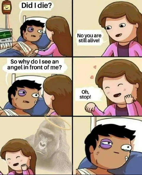 Still Alive, Seeing an Angel