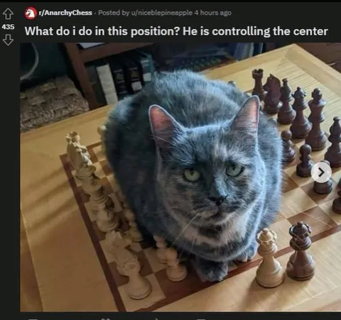 Cat Controlling the Center