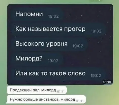 Милорд и продвинутый программист