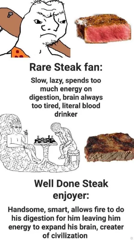 Rare Steak Fan vs Well Done Enjoyer