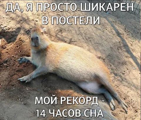 Шикарен в постели