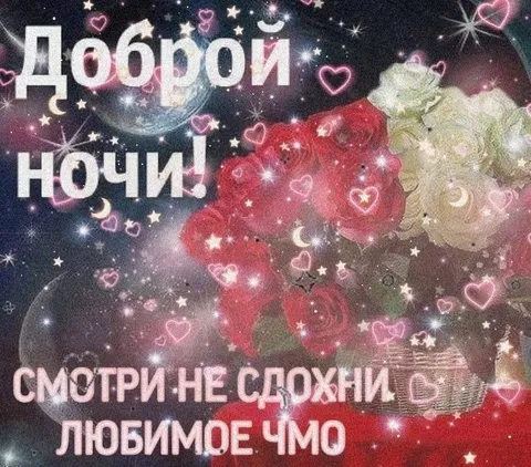 Доброй ночи, любимое чмо