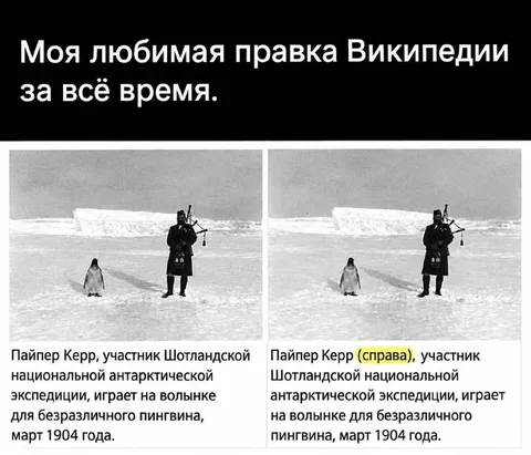 Любимая правка Википедии