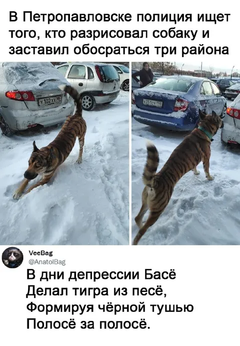 Тигр из пёси в депрессии