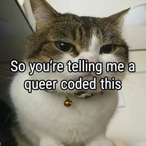 Queer Coded This Cat