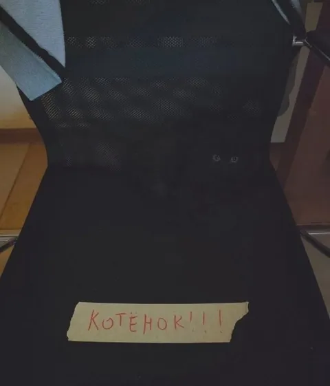 Котёнок на стуле