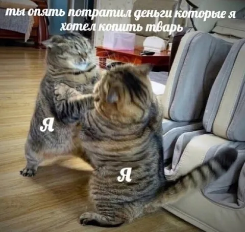 Ты опять потратил мои деньги