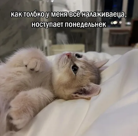 Понедельник снова всё испортил