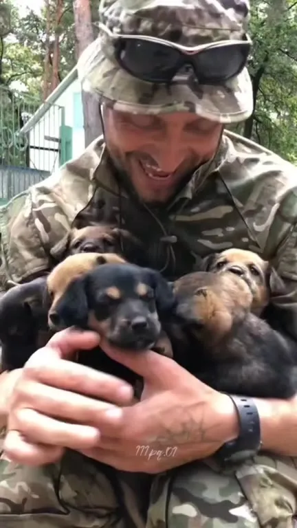 Солдаты и их пушистые друзья