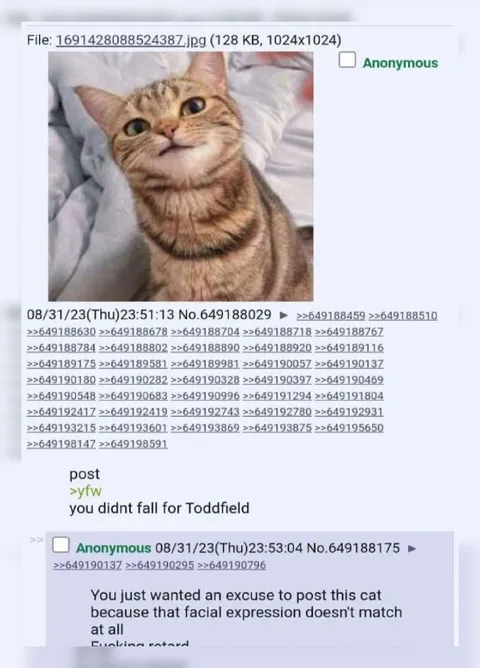 Cat Doesnt Match the Facial Expression