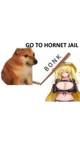 Doge Sends Her to Hornet Jail