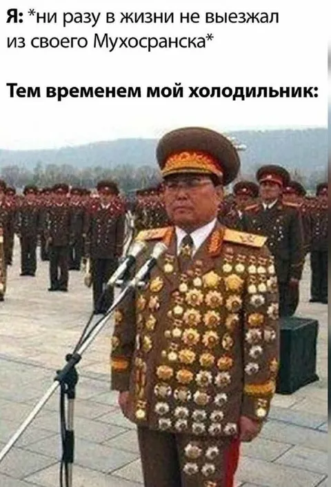 Холодильник весь в поездках
