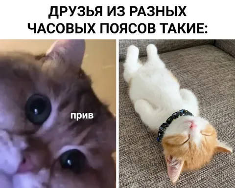 Друзья из разных часовых поясов