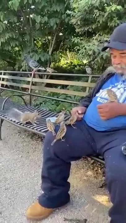 Принцесса голубей и белок