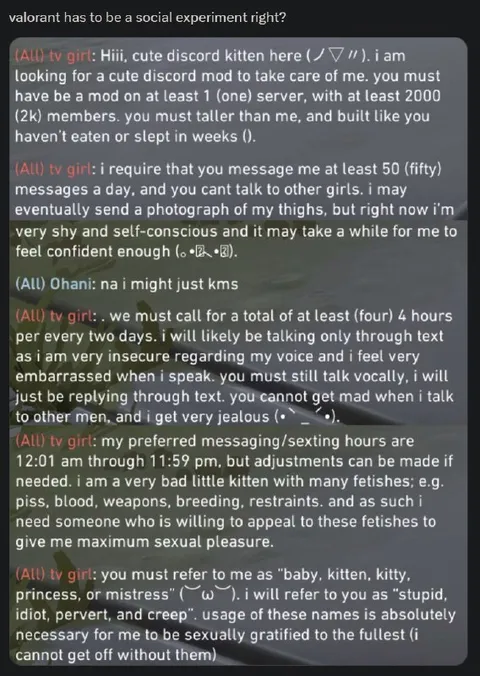 Discord Kitten Terms and Conditions