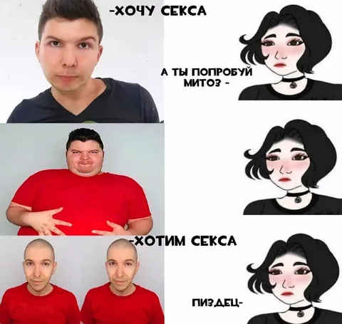 Хочу секса — а ты попробуй митоз