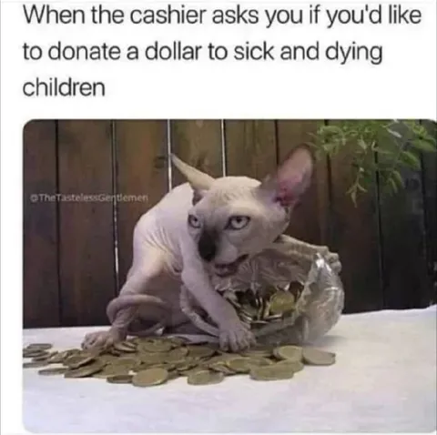 Cat Refuses Charity Donation