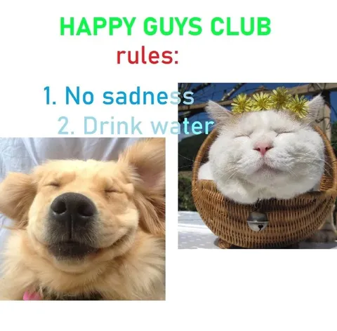 Happy Guys Club Rules