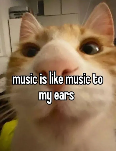 Music Is Like Music To My Ears