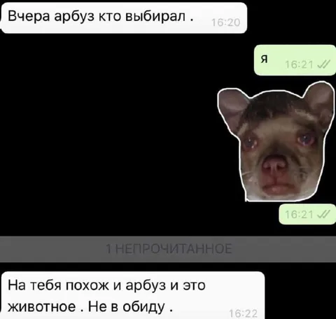 Арбуз и это животное