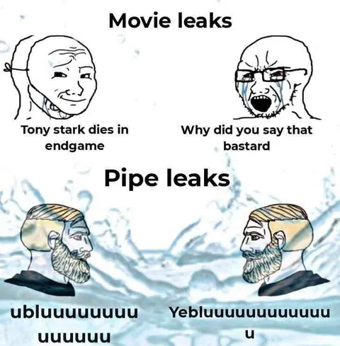 Movie Leaks and Pipe Leaks
