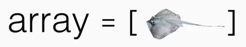 Array Contains a Ray