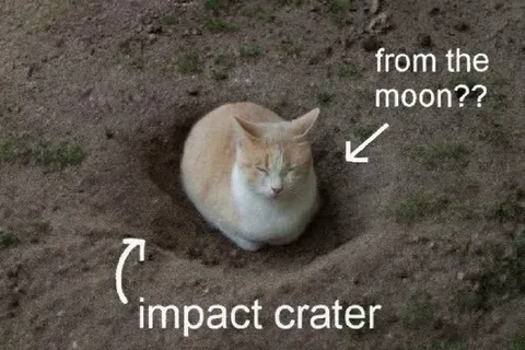 Cat From the Moon