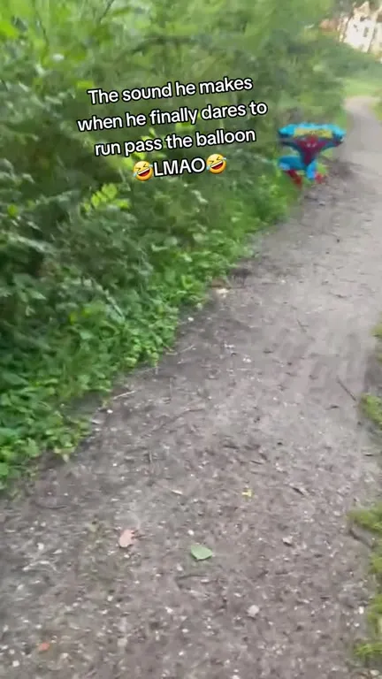 Dog Finally Runs Past Balloon