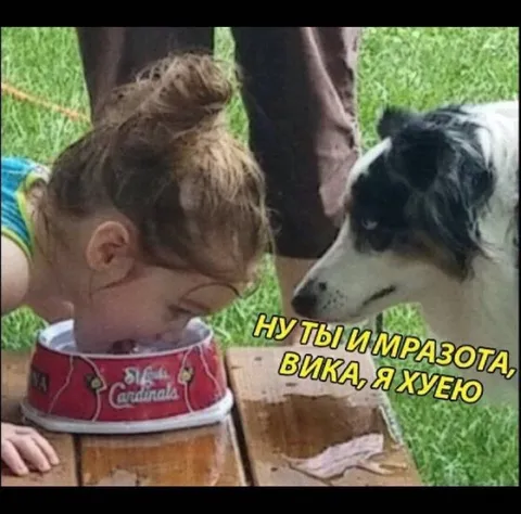 Собака ругает Вику