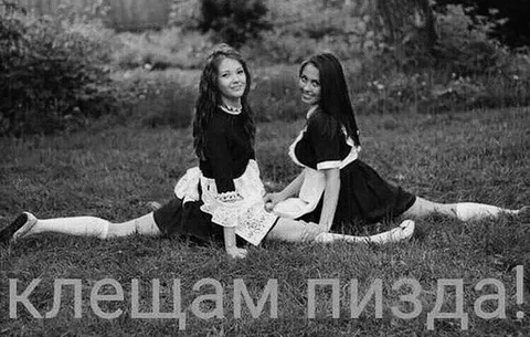 Клещам пизда