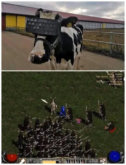 Cow Enters the Secret Cow Level
