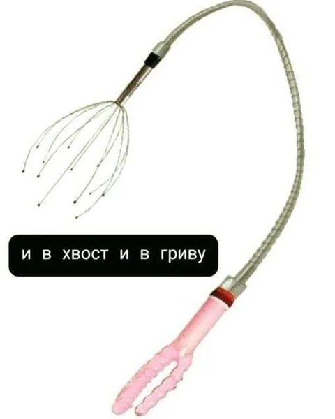 И в хвост и в гриву