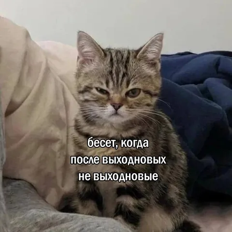 Бесит после выходновых