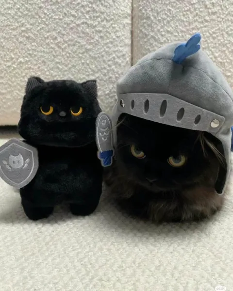 Котята-рыцари