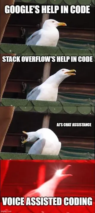 Seagull Voice-Assisted Coding