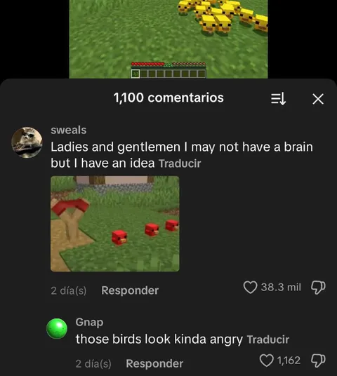 Angry Minecraft Birds