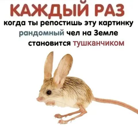 Каждый репост превращает человека в тушканчика