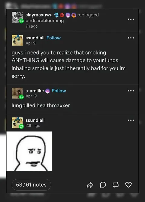 Lungpilled Healthmaxxer