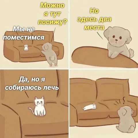 Кот и собака на диване